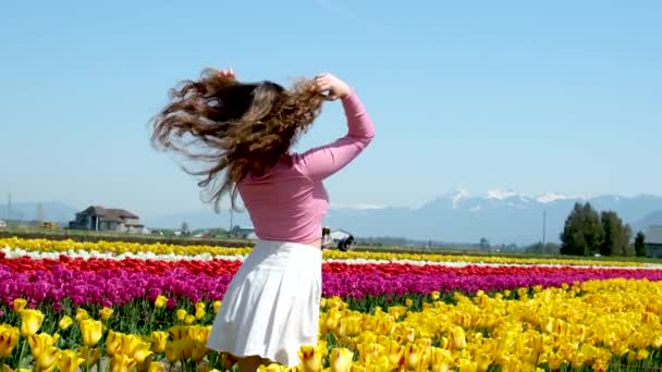 身着白裙的女孩走在田野郁金香中 旋转着 用手抚摩着蓝天群山上的花朵 — 图库视频影像
