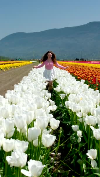 身着白裙的女孩走在田野郁金香中 旋转着 用手抚摩着蓝天群山上的花朵 — 图库视频影像