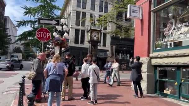 Fleurs Été Horloge Lieux Touristiques Dans Les Lieux Centre Ville — Video