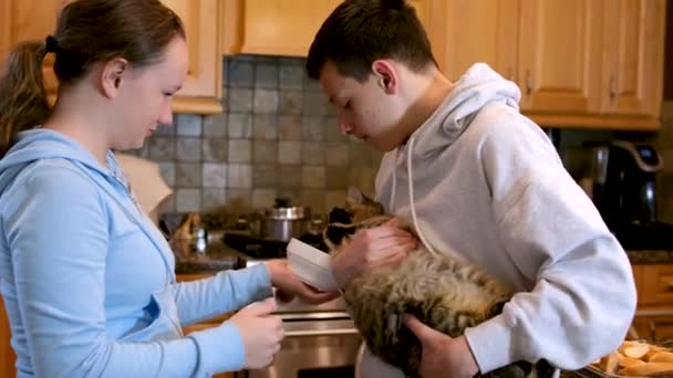 Παιδιά Έφηβοι Που Προσπαθούν Ταΐσουν Γάτα Από Λευκό Πιατάκι Σηκώνουν — Αρχείο Βίντεο