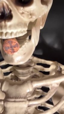 İskelet bir sandalyede oturuyor. Gözünü dikmiş pencereden dışarı bakıyor. Elinde bir şişe rom tutuyor.