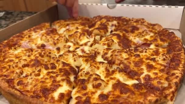 피자에 맛있는 치즈를 곁들인 사진을 클로즈업해서 찍었습니다 배경의 오븐에서 맛있는 — 비디오