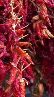 Kırmızı biber bir baharat dükkanının önünde asılı duruyor. Yüksek kalite 4k görüntü