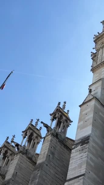 在巴黎市政厅的市政厅中 有巴黎市政当局 位于塞纳河右岸前中世纪的格里夫斯广场 — 图库视频影像