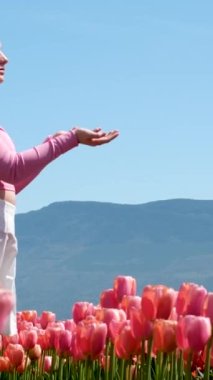 Doğal kozmetik pedlerini sunan el ilanlarını kaldırır. Lale tarlasında duran genç kız için vücut losyonlarını temizler. Nazik pembe arka plan dağları. 