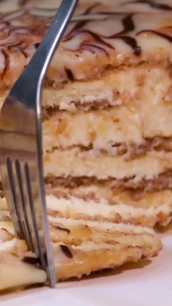 Ciasto Orzechowe Estergazi Jest Popularne Węgrzech Austrii Niemczech — Wideo stockowe