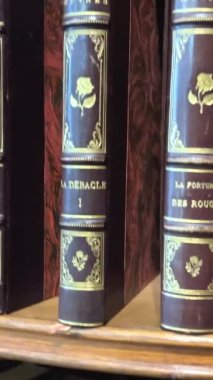 Kütüphane mağazasındaki raflarda toplanabilir kitaplar var. Kalın, şık bir cilt standı. Tavana asılmış raflar üzerinde Hugo Moliere ve diğer yazarların kitapları var..