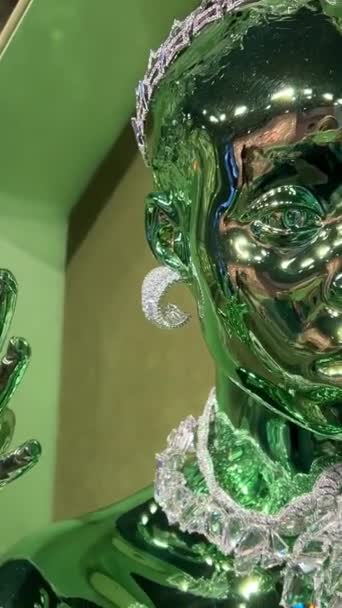 Swarovski Mücevherleri Paris Fransa Aydınlatılmış Raflarda Avro Fiyat Etiketleri Bulunan — Stok video