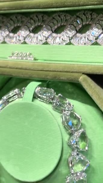 Perhiasan Swarovski Sebuah Toko Dengan Label Harga Euro Rak Teriluminasi — Stok Video