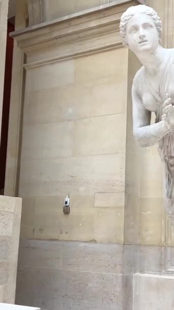 Socha Francie Guillaume Custot Lyon Hippomen Chateau Marly Carpe Bazén — Stock video