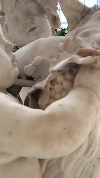 Weiße Marmorskulpturen Der Haupthalle Des Louvre Stehen Nebeneinander Ist Sehr — Stockvideo