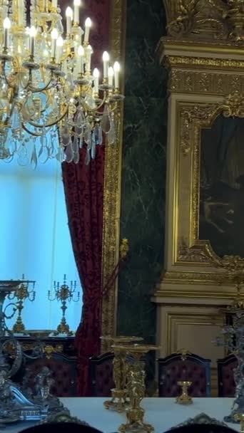 Salas Elegantes Louvre Desde Época Estatua Afrodita Milos Venus Milo — Vídeos de Stock