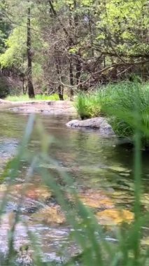 Şelalenin adı Cascata do Pincho veya cascata da ferida ma. Ankora Nehri 'ndeki muhteşem doğa, korsanlar ve seyahatlerle ilgili bir filmin oranına benzer. Yüksek kalite 4k görüntü