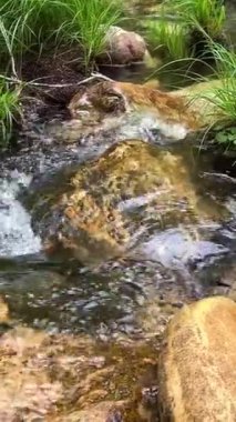 Şelalenin adı Cascata do Pincho veya cascata da ferida ma. Ankora Nehri 'ndeki muhteşem doğa, korsanlar ve seyahatlerle ilgili bir filmin oranına benzer. Yüksek kalite 4k görüntü