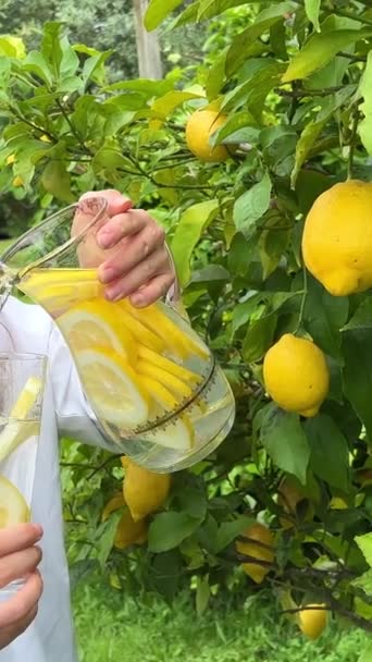 Qué Podría Ser Mejor Que Limonada Fresca Verano Caliente Una — Vídeos de Stock