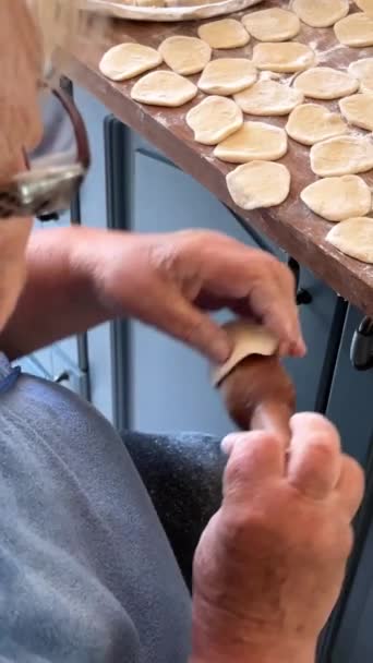 Mormor Med Kärlek Förbereder Dumplings Hon Väktare Familjen Hon Bär — Stockvideo