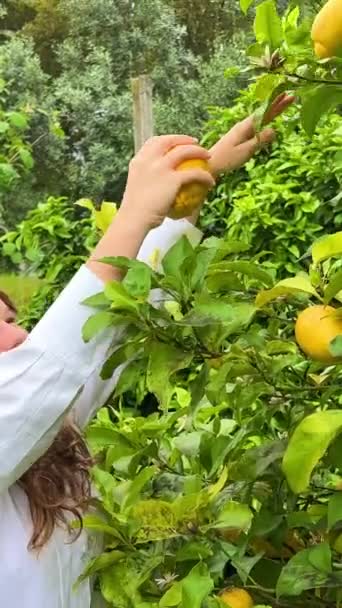 Světlovlasá Puberťačka Bílém Tričku Stojí Citronu Vybírá Citron Přitiskne Obličeji — Stock video