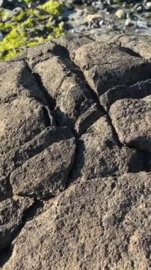 Wall beach, Nanoose a mountain with huge stones the camera swims slowly from bottom to top showing first the stone and then the pine trees growing on the stones Canada Vancouver Island 4k footage