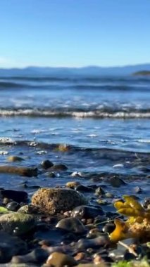 Wall beach, Nanoose Pacific Ocean beach on Vancouver Island a very beautiful combination of nature on the right side coniferous trees on the left side the ocean looks like a lake or the sea. 4k