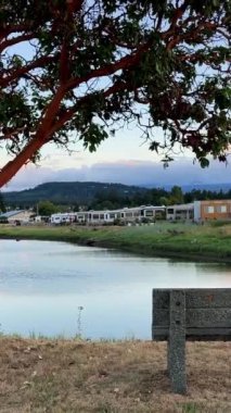 Arbutus Ağacı Parksville plajı Surfside Karavan dinlenme yeri bir karavan gölü ıssız bir dükkan ve uzak karavanlar