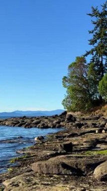 Wall beach, Nanoose Pacific Ocean beach on Vancouver Island a very beautiful combination of nature on the right side coniferous trees on the left side the ocean looks like a lake or the sea. 4k