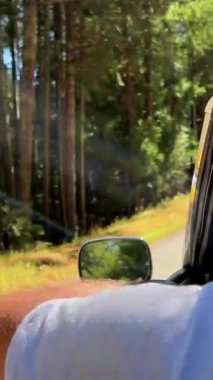 a man driving a convertible rides in the forest on the road he has gray hair he is 60 years old travel travel by car . High quality photo