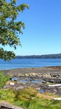 low tide on the pacific ocean view from Denman island to Hornby island. High quality photo