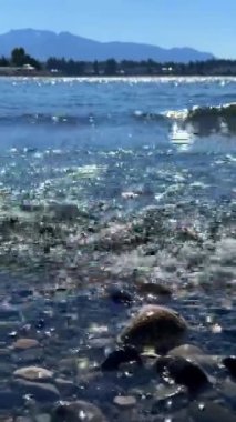 Wall beach, Nanoose Pacific Ocean beach on Vancouver Island a very beautiful combination of nature on the right side coniferous trees on the left side the ocean looks like a lake or the sea. 4k