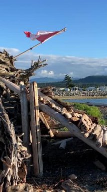 childrens house on the beach made of pieces of broken trees as if halabuda tree house dry ruined trees stones summer vacation. High quality 4k footage