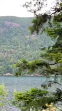 Huge deep and very cold river on Vancouver Island near high mountains Fog and gray sky beauty in nature Landmark of Canada. High quality FullHD footage