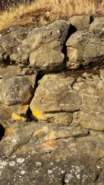 Wall beach, Nanoose a mountain with huge stones the camera swims slowly from bottom to top showing first the stone and then the pine trees growing on the stones Canada Vancouver Island 4k footage