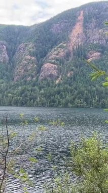 Huge deep and very cold river on Vancouver Island near high mountains Fog and gray sky beauty in nature Landmark of Canada. High quality FullHD footage