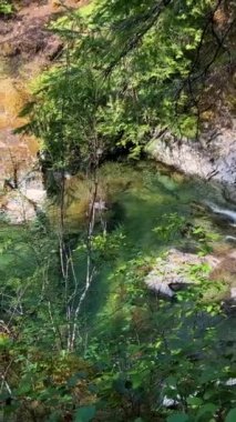 Geleneksel Kwalikum Bölgesi Birinci Ulus Küçük Kalite Şelalesi İl Parkı Temiz ve soğuk su Şelalesi ve Orman Nehri 