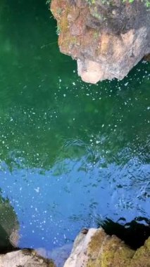 Geleneksel Kwalikum Bölgesi Birinci Ulus Küçük Kalite Şelalesi İl Parkı Temiz ve soğuk su Şelalesi ve Orman Nehri 