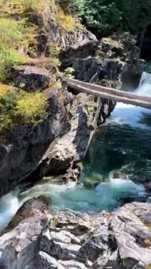 Geleneksel Kwalikum Bölgesi Birinci Ulus Küçük Kalite Şelalesi İl Parkı Temiz ve soğuk su Şelalesi ve Orman Nehri 