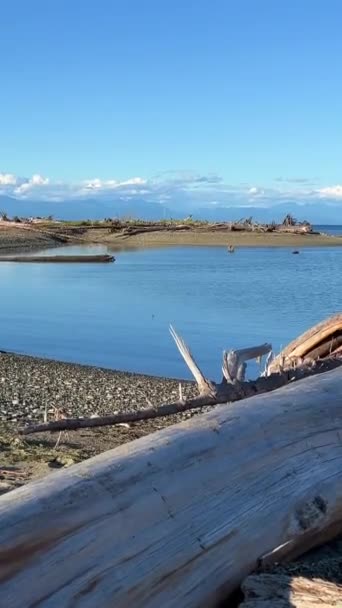 Rathtrevor Beach Parksville Calm Pacific Ocean Vancouver Island Water Went — Stockvideo