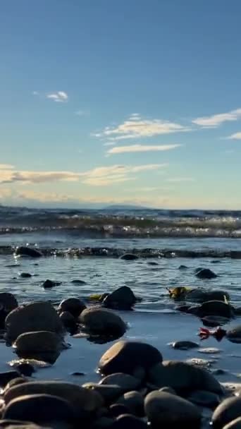 Slunce Zapadá Nad Kamennou Pláž Odrazy Slunce Jsou Viditelné Vodě — Stock video