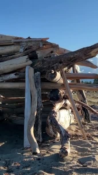 Childrens House Beach Made Pieces Broken Trees Halabuda Tree House — 图库视频影像