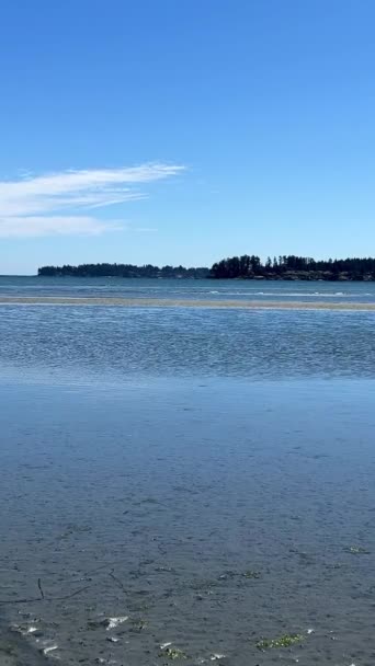 Coast Pacific Ocean Vancouver Island Can Seen Low Tide Now — Stockvideo