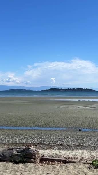 Rathtrevor Beach Parksville Calm Pacific Ocean Vancouver Island Water Went — Stock video