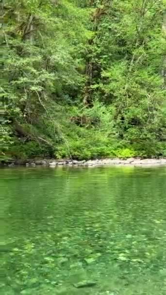 Beautiful Englishman River Waterfalls Upper Section Parksville British Columbia Canada — ストック動画