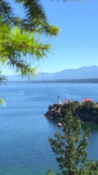 Chrome Island Small Vancouver Island Has White Houses Red Roofs — Stockvideo
