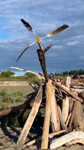어렸을 바다에 널빤지로 나무집 프로펠러는 깃털로 것이다 — 비디오