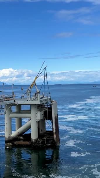 Ferry Arrives Coast Canada Vancouver Island You Can See Sea — Vídeos de Stock
