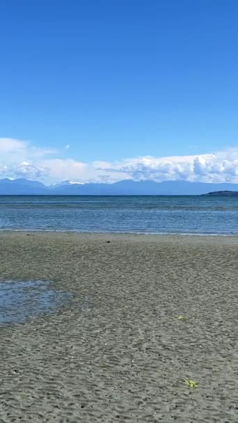 Coast Pacific Ocean Vancouver Island Can Seen Low Tide Now — Video Stock