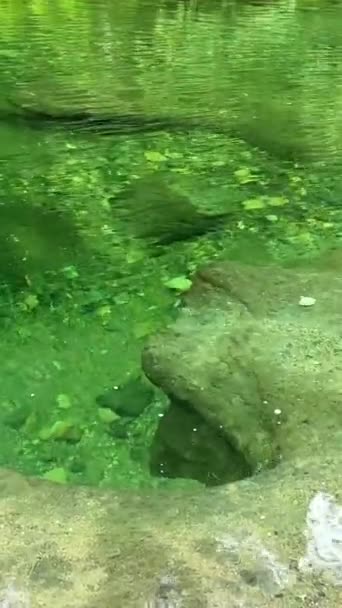 Beautiful Englishman River Waterfalls Upper Section Parksville British Columbia Canada — Wideo stockowe