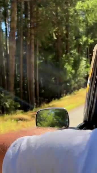 Man Driving Convertible Rides Forest Road Has Gray Hair Years — Stockvideo