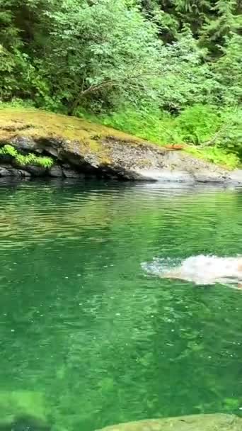 女孩像美人鱼一样在冰冷的绿色河里游来游去 在加拿大不列颠哥伦比亚省帕克斯维尔的英格利曼河瀑布上游的水下是看不见的 — 图库视频影像
