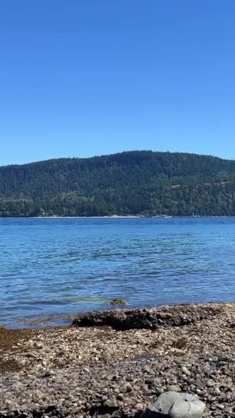 Low Tide Pacific Ocean View Denman Island Hornby Island High — Stockvideo