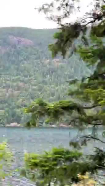 Huge Deep Very Cold River Vancouver Island High Mountains Fog — Vídeo de stock